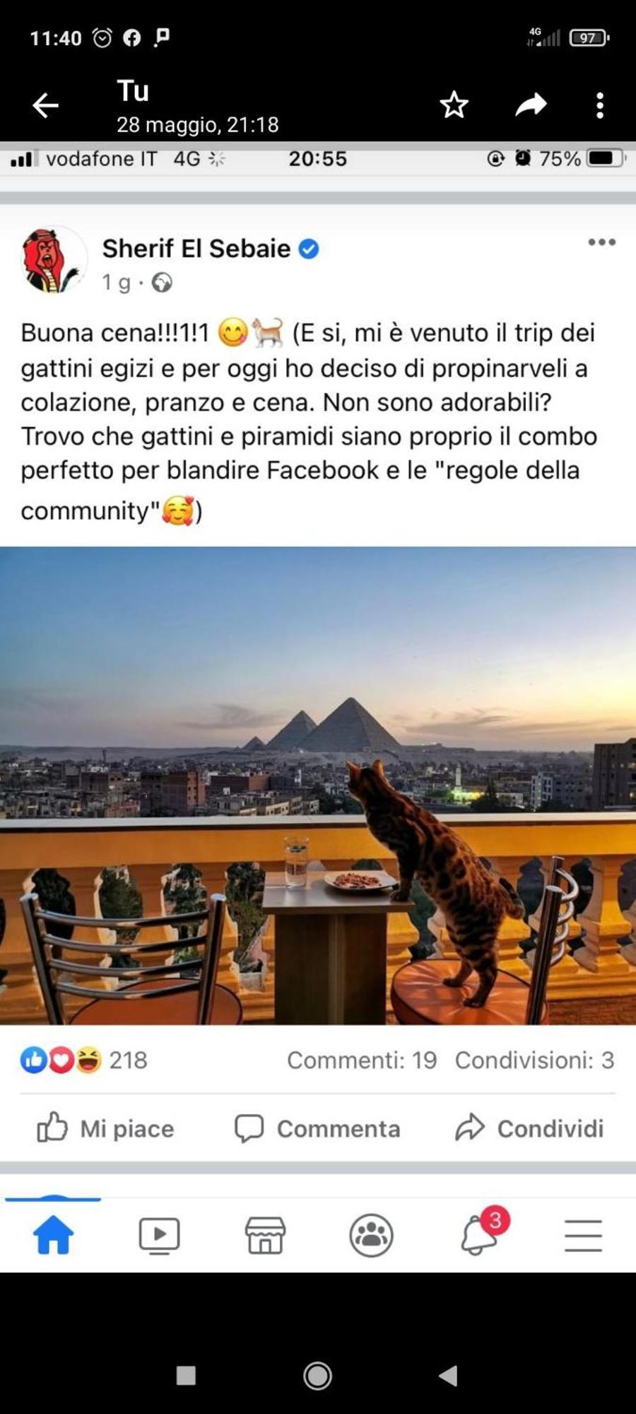 Pyramids View Suite/Vista Piramidi Kairó Kültér fotó